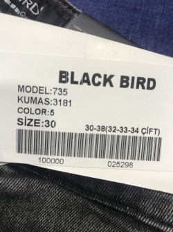 BLACK  BIRD